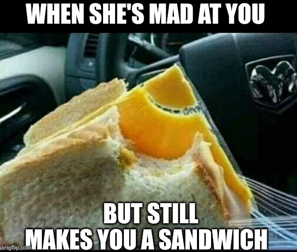 When She's Mad At You But Still Makes You A Sandwich | WHEN SHE'S MAD AT YOU; BUT STILL MAKES YOU A SANDWICH | image tagged in chris joines | made w/ Imgflip meme maker