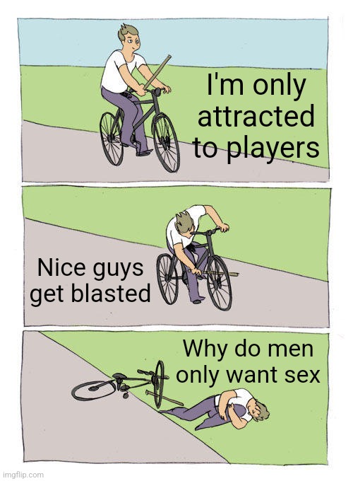 Bike Fall Meme | I'm only attracted to players; Nice guys get blasted; Why do men only want sex | image tagged in memes,bike fall | made w/ Imgflip meme maker