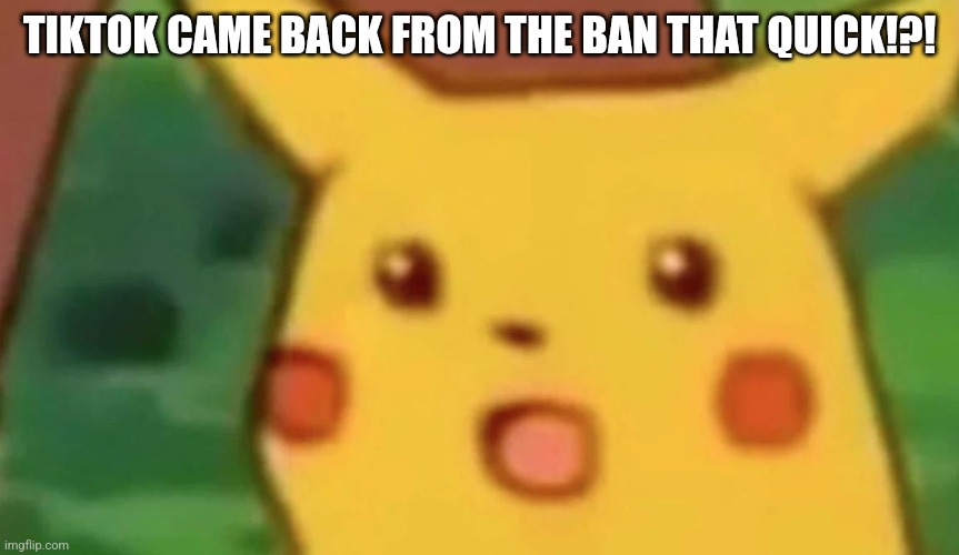 TikTok unbanned quick | TIKTOK CAME BACK FROM THE BAN THAT QUICK!?! | image tagged in shocked pikachu | made w/ Imgflip meme maker