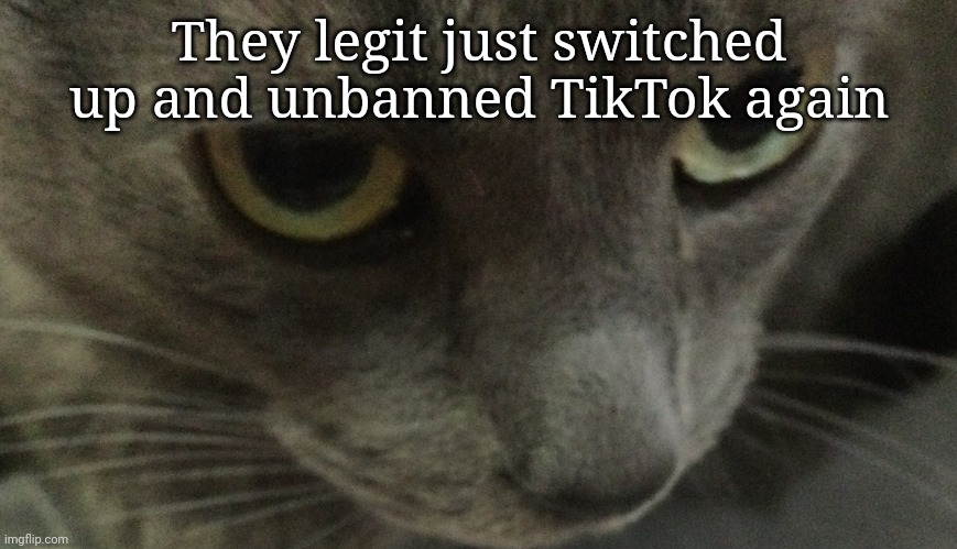 Sweetie | They legit just switched up and unbanned TikTok again | image tagged in sweetie | made w/ Imgflip meme maker