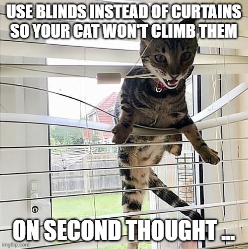 USE BLINDS INSTEAD OF CURTAINS SO YOUR CAT WON'T CLIMB THEM ON SECOND THOUGHT ... | made w/ Imgflip meme maker