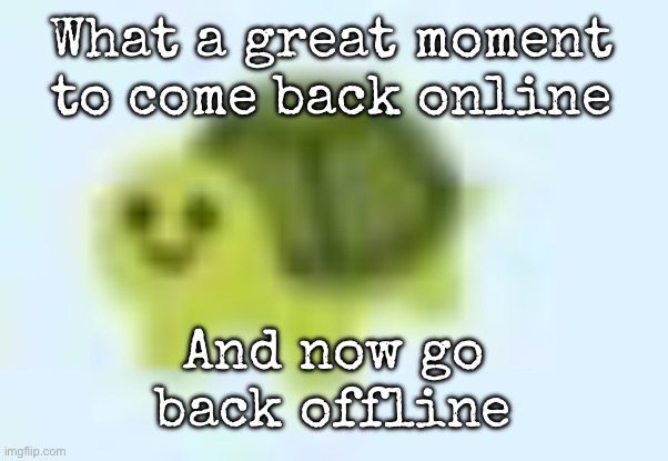 low quality turtle | What a great moment to come back online; And now go back offline | image tagged in low quality turtle,msmg | made w/ Imgflip meme maker