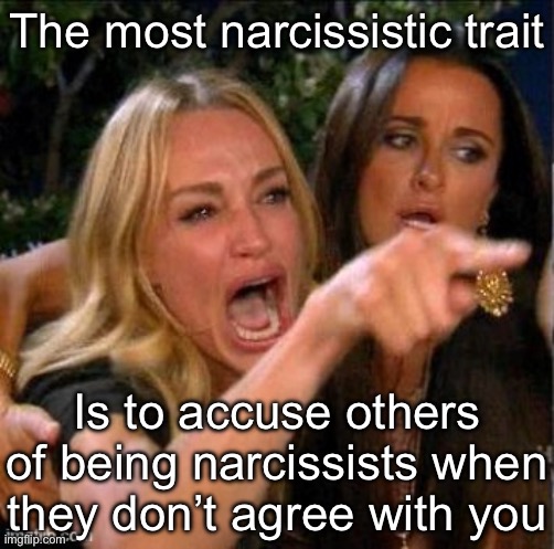 Narcissism | The most narcissistic trait; Is to accuse others of being narcissists when they don’t agree with you | image tagged in you're a narcissist | made w/ Imgflip meme maker