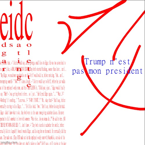 eidc | Trump n'est pas mon president | image tagged in eidc | made w/ Imgflip meme maker