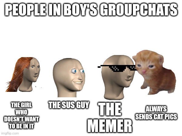 People in boy's group chats | PEOPLE IN BOY'S GROUPCHATS; THE GIRL WHO DOESN'T WANT TO BE IN IT; ALWAYS SENDS CAT PICS; THE MEMER; THE SUS GUY | image tagged in funny | made w/ Imgflip meme maker