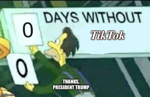 0 days without (Lenny, Simpsons) | TikTok; THANKS, PRESIDENT TRUMP | image tagged in 0 days without lenny simpsons | made w/ Imgflip meme maker