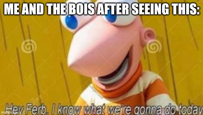 Hey Ferb | ME AND THE BOIS AFTER SEEING THIS: | image tagged in hey ferb | made w/ Imgflip meme maker