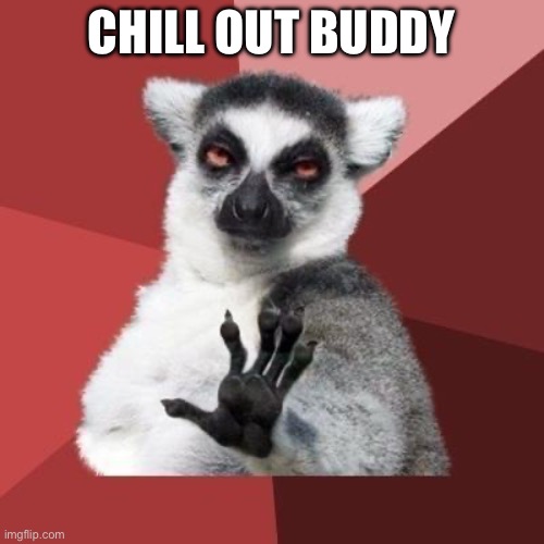 calm down | CHILL OUT BUDDY | image tagged in calm down | made w/ Imgflip meme maker