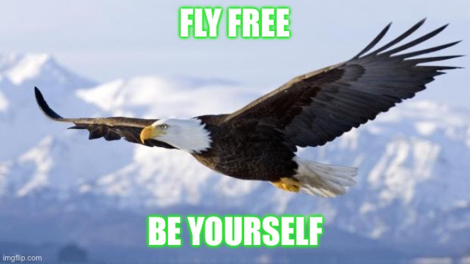 Free to be yourself | FLY FREE; BE YOURSELF | image tagged in eagle | made w/ Imgflip meme maker