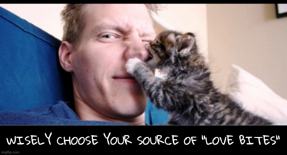 WISELY CHOOSE YOUR SOURCE OF "LOVE BITES" | made w/ Imgflip meme maker