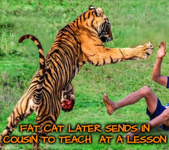 FAT CAT LATER SENDS IN COUSIN TO TEACH  AT A LESSON | made w/ Imgflip meme maker