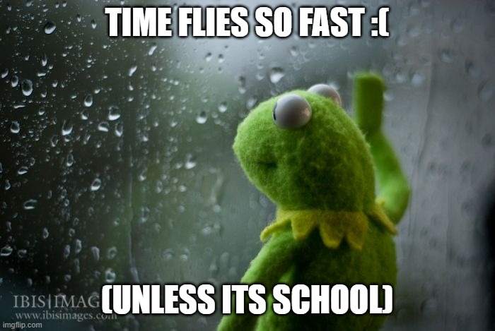 kermit window | TIME FLIES SO FAST :( (UNLESS ITS SCHOOL) | image tagged in kermit window | made w/ Imgflip meme maker