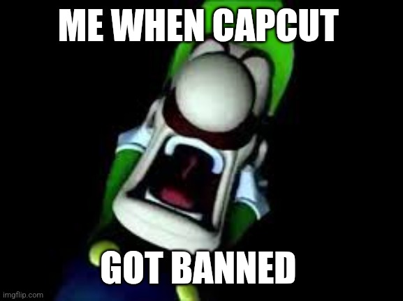 Luigi Screaming | ME WHEN CAPCUT; GOT BANNED | image tagged in luigi screaming | made w/ Imgflip meme maker