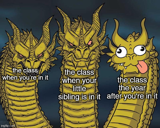 This is always true but why??? | the class when your little sibling is in it; the class when you're in it; the class the year after you're in it | image tagged in three dragons | made w/ Imgflip meme maker