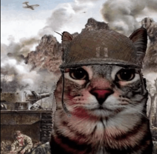 War Cat Blank Meme Template