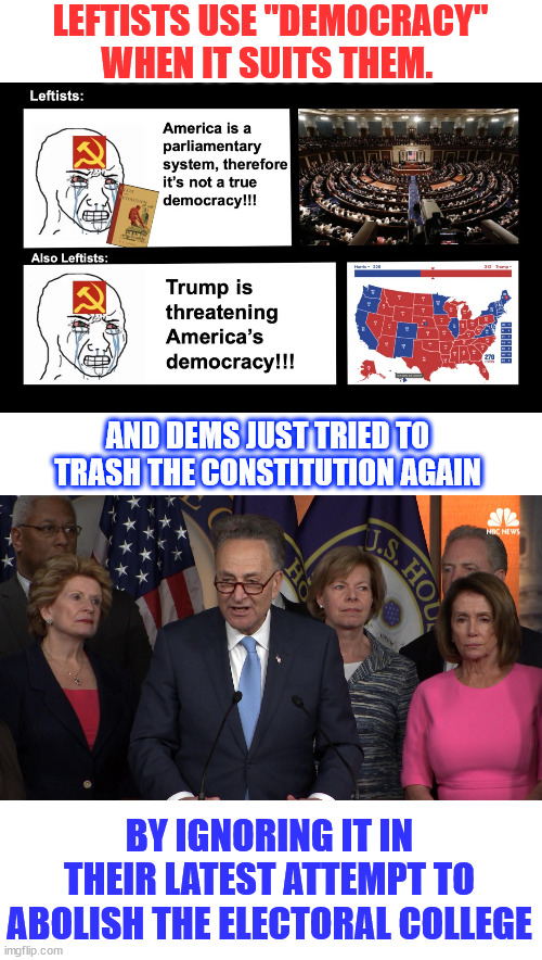 dems are the real threat to democracy. | LEFTISTS USE "DEMOCRACY" WHEN IT SUITS THEM. AND DEMS JUST TRIED TO TRASH THE CONSTITUTION AGAIN; BY IGNORING IT IN THEIR LATEST ATTEMPT TO ABOLISH THE ELECTORAL COLLEGE | image tagged in dems,the real threat,to democracy | made w/ Imgflip meme maker