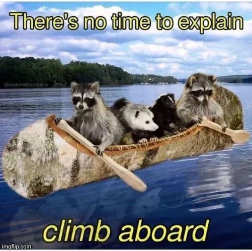 Get on quick | made w/ Imgflip meme maker