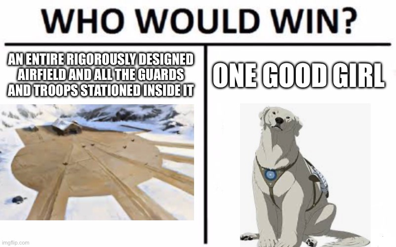 Electric fence? me and Pabu got this | AN ENTIRE RIGOROUSLY DESIGNED AIRFIELD AND ALL THE GUARDS AND TROOPS STATIONED INSIDE IT; ONE GOOD GIRL | image tagged in memes,who would win,the legend of korra | made w/ Imgflip meme maker