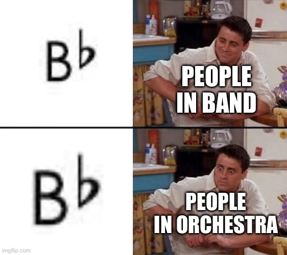 Band vs orchestra | PEOPLE IN BAND; PEOPLE IN ORCHESTRA | image tagged in surprised joey,orchestra,band,music | made w/ Imgflip meme maker