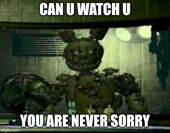 can u watch u you are never sorry | CAN U WATCH U; YOU ARE NEVER SORRY | image tagged in fnaf springtrap in window | made w/ Imgflip meme maker