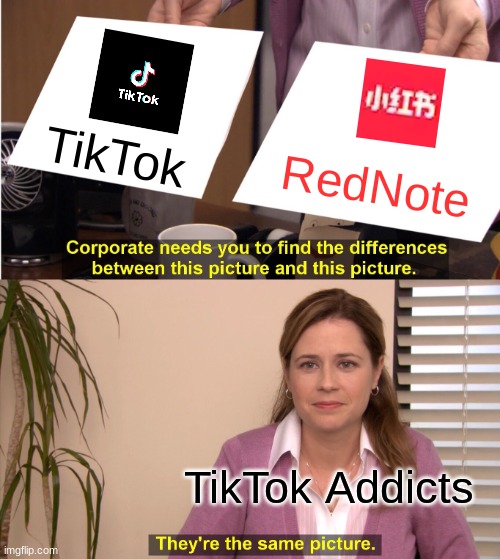 TikTok ahh | TikTok; RedNote; TikTok Addicts | image tagged in they're the same picture,rednote,tiktok | made w/ Imgflip meme maker