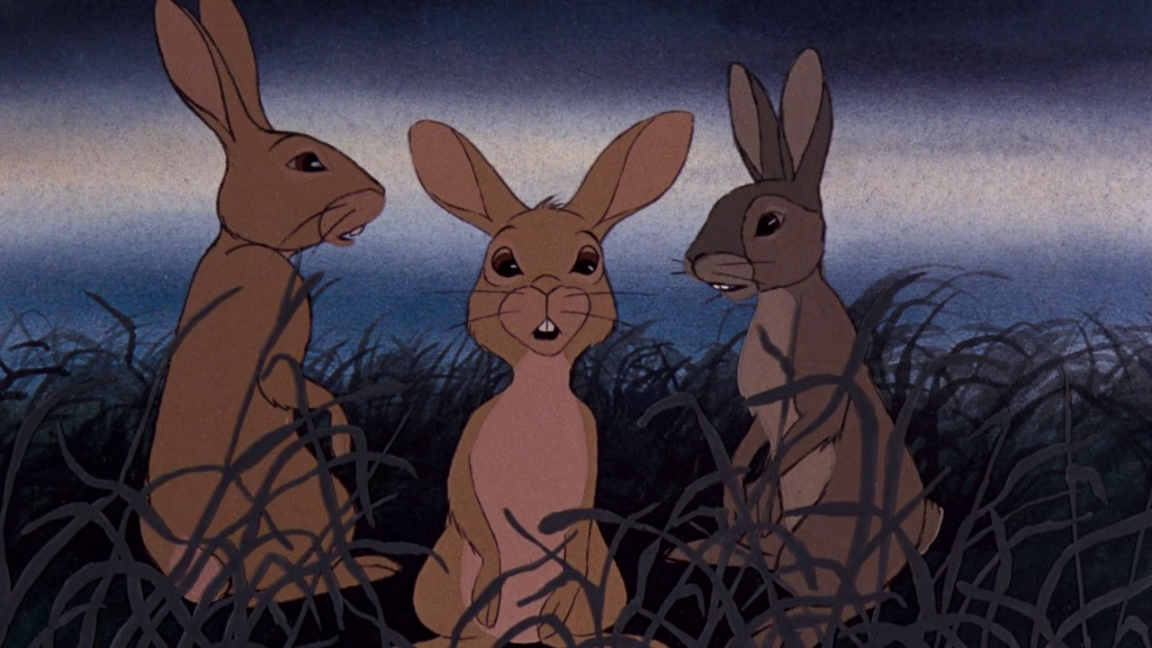 Fiver (Watership Down) Blank Meme Template