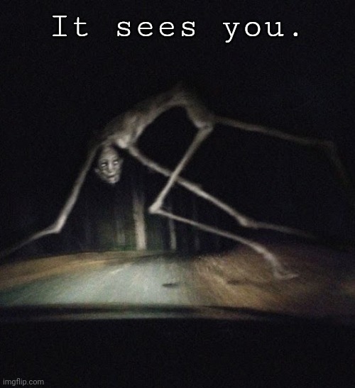 This is Thomas, he lwk chill asf | It sees you. | image tagged in country road creature | made w/ Imgflip meme maker