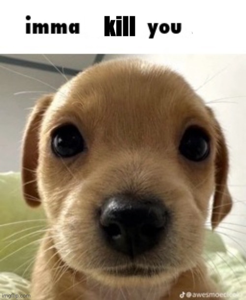 Imma touch you | kill | image tagged in imma touch you | made w/ Imgflip meme maker