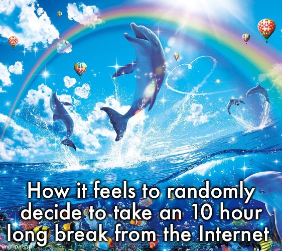 Misinformation dolphins | How it feels to randomly decide to take an 10 hour long break from the Internet | image tagged in misinformation dolphins | made w/ Imgflip meme maker