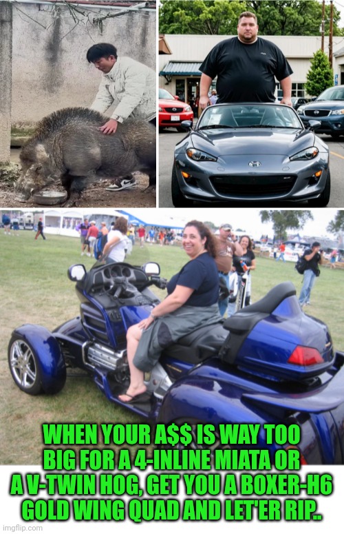 Funny | WHEN YOUR A$$ IS WAY TOO BIG FOR A 4-INLINE MIATA OR A V-TWIN HOG, GET YOU A BOXER-H6 GOLD WING QUAD AND LET'ER RIP.. | image tagged in funny,motorcycle,motorhead,bike,cars,ride | made w/ Imgflip meme maker