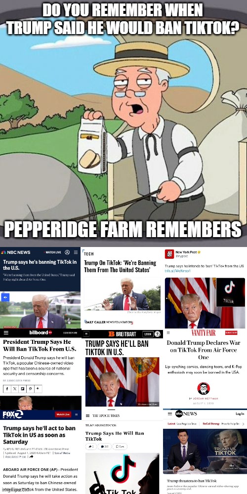 trump tiktok ban | DO YOU REMEMBER WHEN TRUMP SAID HE WOULD BAN TIKTOK? PEPPERIDGE FARM REMEMBERS | image tagged in memes,pepperidge farm remembers,tiktok,trump | made w/ Imgflip meme maker