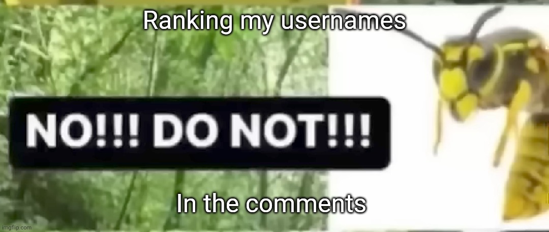 real | Ranking my usernames; In the comments | image tagged in don't | made w/ Imgflip meme maker