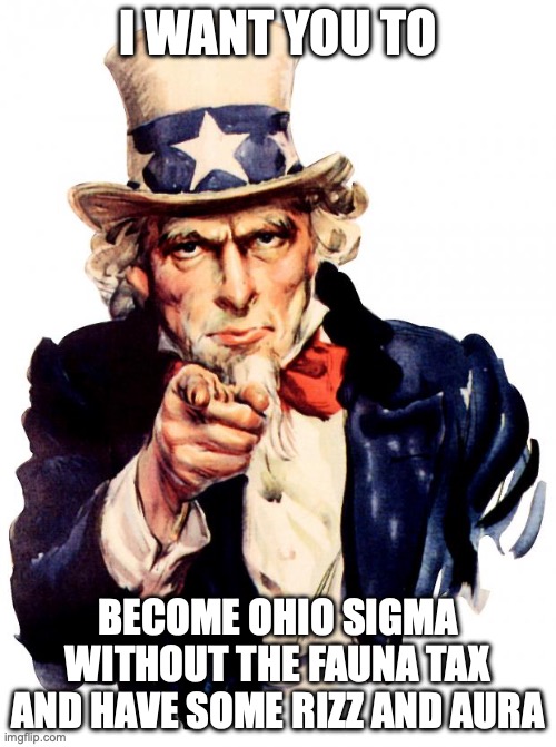 Uncle Sam Meme | I WANT YOU TO; BECOME OHIO SIGMA WITHOUT THE FAUNA TAX AND HAVE SOME RIZZ AND AURA | image tagged in memes,uncle sam | made w/ Imgflip meme maker