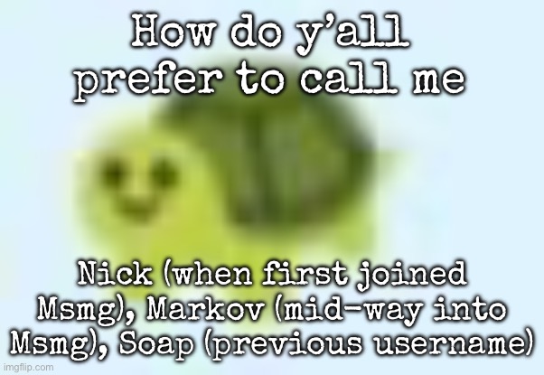 low quality turtle | How do y’all prefer to call me; Nick (when first joined Msmg), Markov (mid-way into Msmg), Soap (previous username) | image tagged in low quality turtle,msmg | made w/ Imgflip meme maker