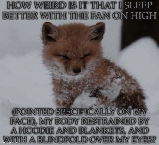 Literally, The Only Way I Get A Good Night's Rest Without Nightmares | HOW WEIRD IS IT THAT I SLEEP
BETTER WITH THE FAN ON HIGH; (POINTED SPECIFICALLY ON MY
FACE), MY BODY RESTRAINED BY
A HOODIE AND BLANKETS, AND
WITH A BLINDFOLD OVER MY EYES? | image tagged in adorable lil foxy,what does this say about me,how screwed up am i,i sleep better on the couch,than in my bed,im weird ig | made w/ Imgflip meme maker