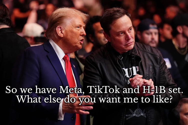 Elon’s Twin Flame | So we have Meta, TikTok and H-1B set.
What else do you want me to like? | image tagged in trump | made w/ Imgflip meme maker