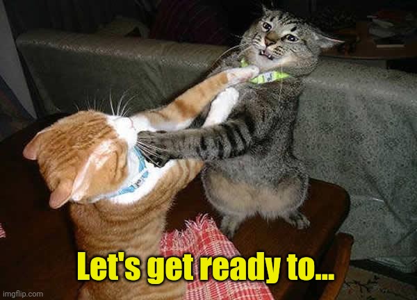 Two cats fighting for real | Let's get ready to... | image tagged in two cats fighting for real | made w/ Imgflip meme maker