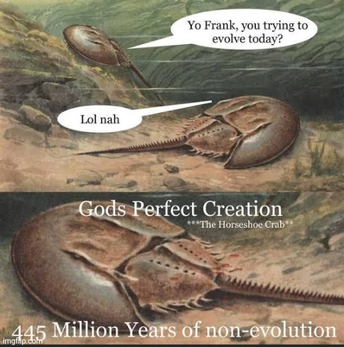 Type shit | made w/ Imgflip meme maker