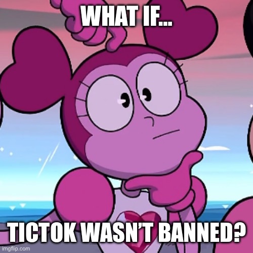 What if… (Part Two) | WHAT IF…; TICTOK WASN’T BANNED? | image tagged in what if | made w/ Imgflip meme maker