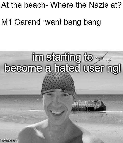 At the beach - Where the Nazis at? | im starting to become a hated user ngl | image tagged in at the beach - where the nazis at | made w/ Imgflip meme maker