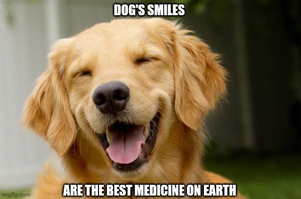 Happy Dog | DOG'S SMILES; ARE THE BEST MEDICINE ON EARTH | image tagged in happy dog | made w/ Imgflip meme maker