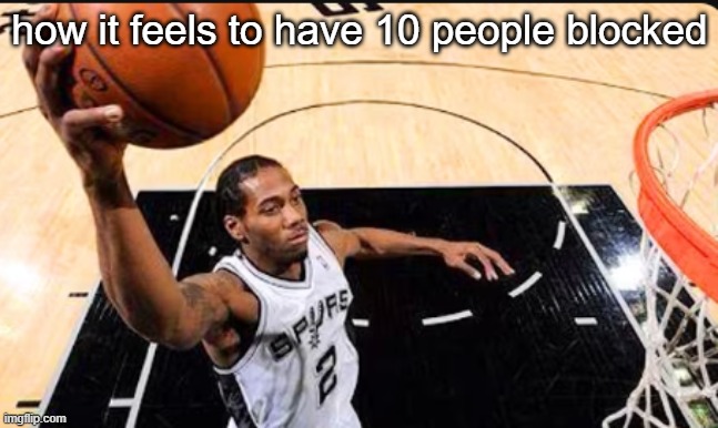 kawhi leonard | how it feels to have 10 people blocked | image tagged in kawhi leonard | made w/ Imgflip meme maker