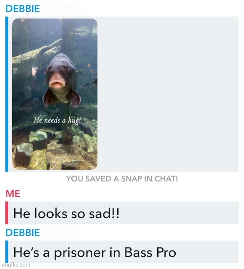 Free my boy | made w/ Imgflip meme maker