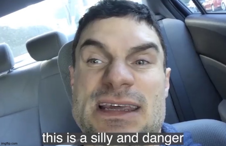 This is a silly and danger | image tagged in this is a silly and danger | made w/ Imgflip meme maker