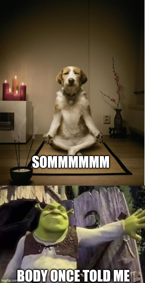 SOMMMMMM; BODY ONCE TOLD ME | image tagged in dog meditation funny,shrek opens the door | made w/ Imgflip meme maker