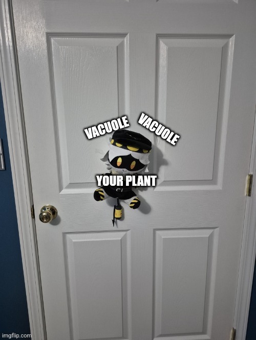 YOUR PLANT VACUOLE VACUOLE | made w/ Imgflip meme maker