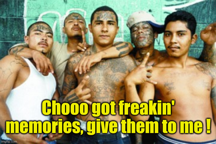 No Mas ! | Chooo got freakin' memories, give them to me ! | image tagged in mexican gang members,political meme,politics,funny memes,funny,no mas | made w/ Imgflip meme maker