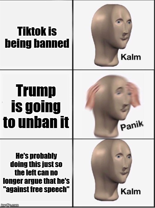 Here's my take on this. Who knows? | Tiktok is being banned; Trump is going to unban it; He's probably doing this just so the left can no longer argue that he's "against free speech" | image tagged in reverse kalm panik,tiktok,donald trump | made w/ Imgflip meme maker