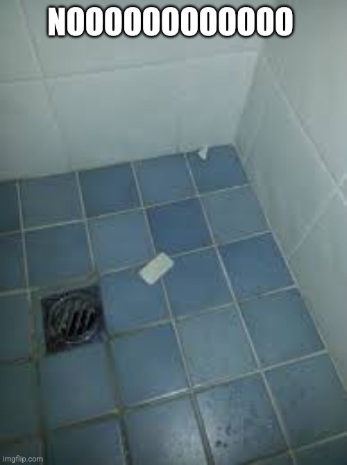 Noooo | NOOOOOOOOOOOO | image tagged in soap on the floor | made w/ Imgflip meme maker