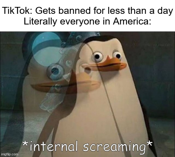 tiktok ban | TikTok: Gets banned for less than a day

Literally everyone in America: | image tagged in private internal screaming,tiktok,tiktok sucks,tiktok ban,ban,banned | made w/ Imgflip meme maker